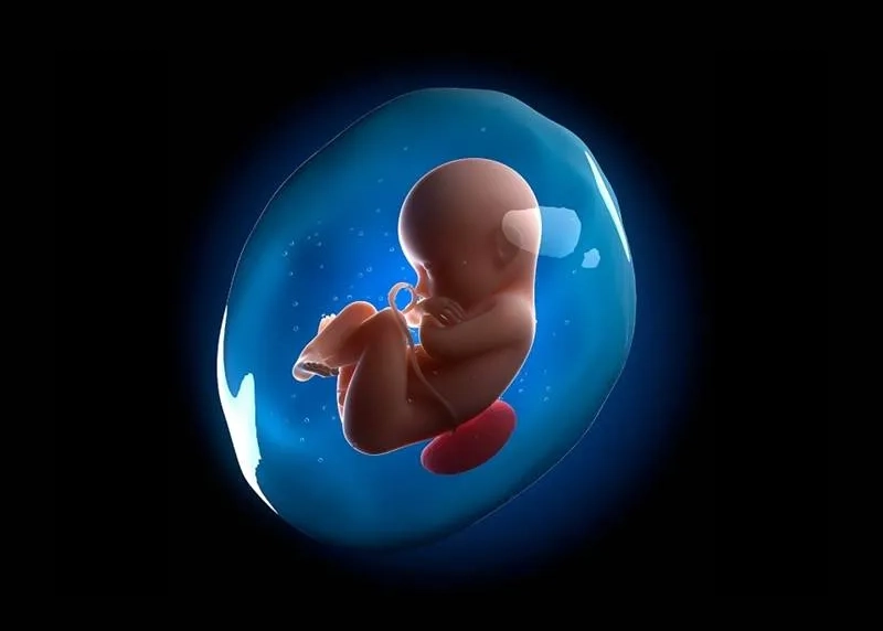 amniotic-fluid-2
