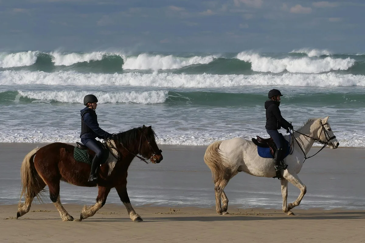 Beach Horseback Riding